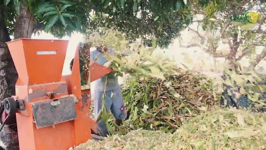 Maquinário trabalhando na produção de silagem