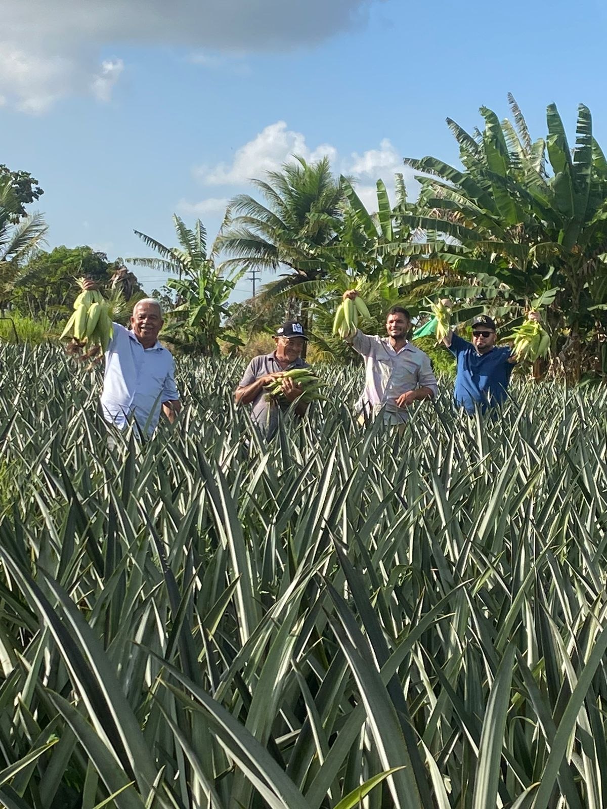 Grupo de produtores reunido em área agrícola com espigas de milho